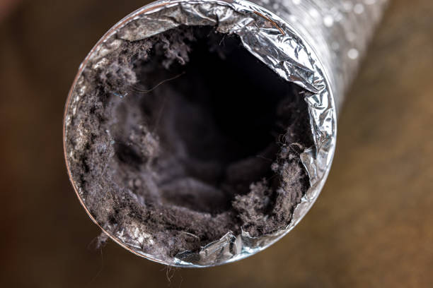 Best Affordable HVAC Duct Cleaning  in Blplay, AL