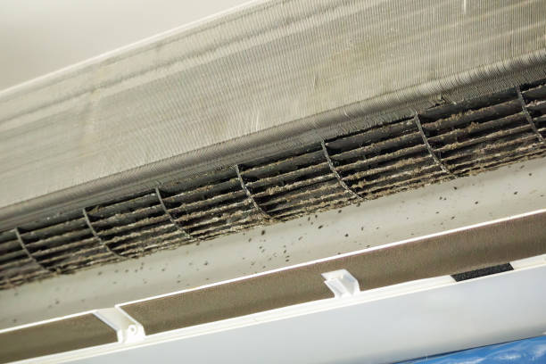 Best Ductwork Cleaning Services  in Blplay, AL